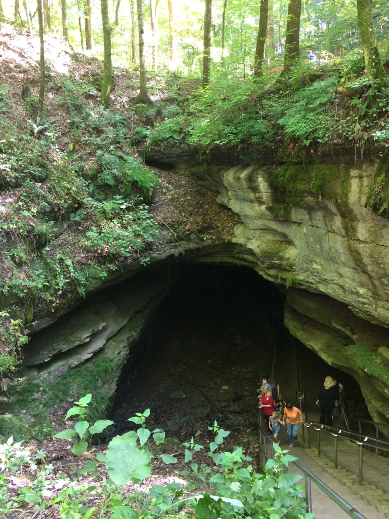 Travel: Kentucky's underground rock star: Mammoth Cave National Park